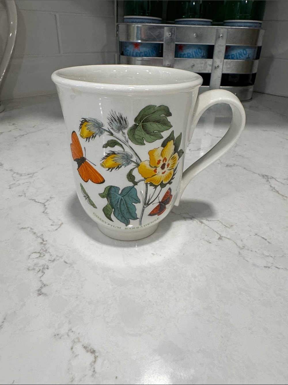 Vintage Portmeirion Botanic Garden Beaker Mug